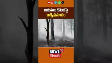 Huge Fire Accident in Tirumala | తిరుమల కొండపై అగ్నిప్రమాదం | Tirupati Exclusive | #local18shorts
