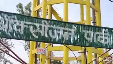 रायसेन: मधुमक्खी के छत्तों से ऑक्सीजन पार्क बंद, हटाने के लिए नगर पालिका ने वन विभाग को भेजा पत्र