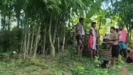 শিলচর: লক্ষীপুর বিধানসভার কনকপুর এলাকায় সাপের কামড়ে কিশোরীর মৃত্যু