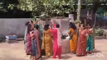 વ્યારા: તાપી જિલ્લા સહિત વ્યારા શહેરના સ્ટેશન રોડ સહિતના વિસ્તારમાં વડ સાવિત્રીની ઉજવણી કરવામાં આવી.