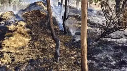 माण्डलगढ़: दोवनी गांव में हाई टेंशन विद्युत लाइन की स्पार्किंग से लगी आग, 5 बीघा का खाखला जलकर हुआ खाक