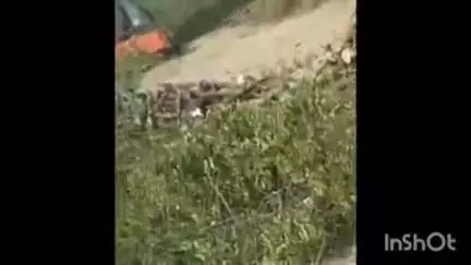 सफीपुर: सालेहपुर गांव में अवैध पेड़ कटान का मामला, ग्रामीणों ने पुलिस और वन विभाग पर मिलीभगत का आरोप लगाया