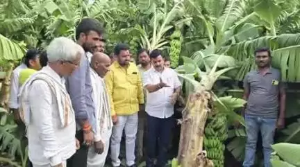 भोकर: अर्धापूर, मुदखेड,भोकर येथील शेतकऱ्यांच्या बांधावरती जाऊन खा.रविंद्र चव्हाणांनी शेतीची पाहणी करून प्रशासनाला दिल्या सुचना