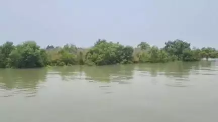 ক্যানিং ১: পর্যটকদের জন্য খোলা থাকছে সুন্দরবন, ভুল খবর ছড়িয়ে বিভ্রান্ত করা হয়েছে পর্যটকদের, জানালেন বন আধিকারিক #jansamasya