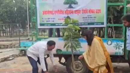 अंबाजोगाई: पर्यावरणाचे रक्षण करा; अंबाजोगाई नगर परिषदेच्या मुख्याधिकारी प्रियंका टोंगे यांचे वटसावित्री पौर्णिमेनिमित्ताने आवाहन