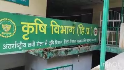 ननखड़ी: सेव सीजन से पूर्व फॉरवर्डिंग एजेंट अपने लाइसेंस बनवा लें: पीरु राम, कृषि प्रसार अधिकारी रामपुर/ननखड़ी