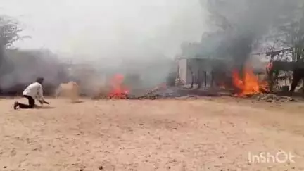 रोहट: रोहट के खुटानी गांव स्थित भीलों की ढाणी में बाड़े में आग लगने से 30 भेड़-बकरियां जलकर मरी, एक मकान भी हुआ राख