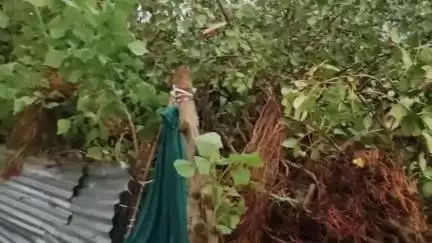दिग्रस: शहरासह तालुक्यातील अनेक भागात चक्रीवादळाचा तडाखा; अनेक घरावर, रस्त्यावर झाडे, विद्युत पोल कोसळली, घरांचे टिनपत्रे उडाली