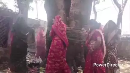 उमरेठ: पति की दीर्घायु के लिए महिलाओं ने किया वट वृक्ष का पूजन, रखा वट सावित्री व्रत
