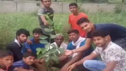 चरखी दादरी: एक पेड़ मां के नाम अभियान के तहत ज़िले में लगेंगे लाखों पौधे, पर्यावरण संरक्षण में निभाएं भूमिका: DC