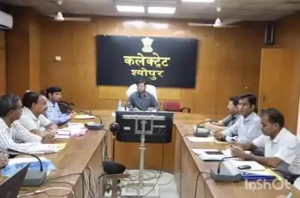 श्योपुर: सरकारी स्कूलों में दाखिले के लिए अभियान चलाएं, कलेक्टर ने संकुल प्राचार्य की बैठक में दिए निर्देश