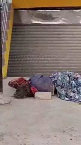 करछना: कौंधियारा क्षेत्र के शुक्ला ढाबा के पास अज्ञात महिला का शव मिलने से फैली सनसनी, पुलिस जांच में जुटी
