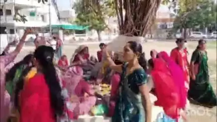 ડભોઇ: વટવૃક્ષની પૂજા કરી વડસાવિત્રી વ્રત ની ડભોઈની પરિણીતાઓએ શ્રદ્ધાભેર ઉજવણી કરી.