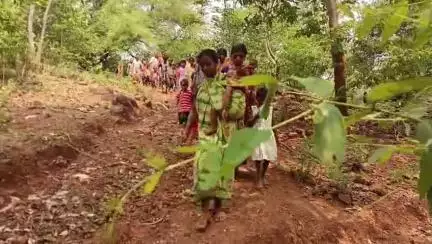 ବାଲିଗୁଡା: କପୁକଷା ଠାରେ ଅପହଞ୍ଚ ଦୁର୍ଗମ  ଲୋକଙ୍କ ପାଇଁ ବିକାଶ ବାଟ ଭୁଲିଛି।ସବୁ ଯୋଜନା ଫେଲ ମାରିଛି ଏଠି ସତରେ ବିକାଶ ଶୁନ #jansamasya