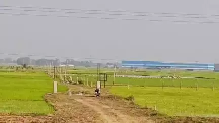 কেশপুর: কেশপুরের কৃষকদের জন্য ধান বীজ বিলি করবে প্রশাসন, কৃষি দপ্তরের বৈঠক হচ্ছে বুধবার ব্লক অফিসে