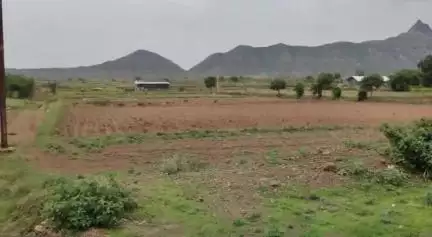 साक्री: शेवाळी शिवारातून अज्ञात चोरट्यांनी ट्रॅक्टर, ट्रॉली व कांदा लांबविला; साक्री पोलिसांत गुन्हा नोंद