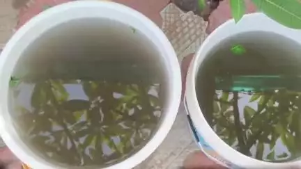 खेतड़ी: खेतड़ी नगर में दूषित जलापूर्ति से परेशान लोग, एक माह से सीवरेज का पानी हो रहा सप्लाई #jansamasya