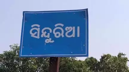 ତେଲକୋଇ: ସିନ୍ଦୁରୀଆ ଗାଁ ଅଞ୍ଚଳରେ ଉତ୍ପାତ କରୁଛନ୍ତି ପଲୁଆ ହାତୀ । ଗାଁରେ ଉୟର ବାଣବରଣ