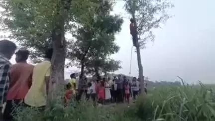 कप्तानगंज: टेकुआटार में संदिग्ध परिस्थितियों में शीशम के पेड़ से लटकता मिला युवक का शव, मची सनसनी, पुलिस जांच में जुटी