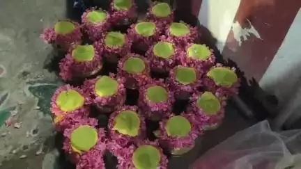 தண்டையார்பேட்டை: ராயபுரம் காசிமேடு பகுதியில் கந்தக்கோட்டை முத்துக்குமாரசுவாமி ஆலயத்தில் வேல் பூஜை, 108 பால்குடம் ஊர்வலம் நடைபெற்றது