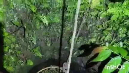 കോഴഞ്ചേരി: മാമൂട് കുടമുക്കിൽ കിണറ്റിൽ വീണ വയോധികയെ അഗ്നിരക്ഷാ സേന രക്ഷപ്പെടുത്തി