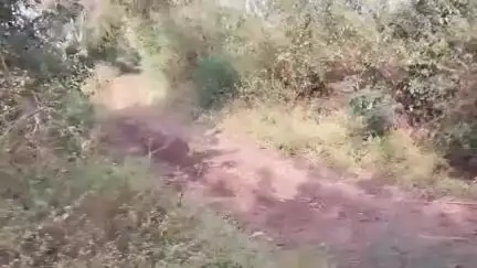 रावेर: सावदा शेत शिवारात अनोळखी महिलेचा मृतदेह आढळला, सावदा पोलिसात आकस्मात मृत्यूची नोंद, ओळख पटवण्याचे केले आवाहन