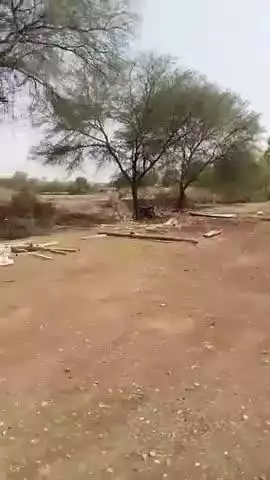 अशोकनगर: अशोकनगर जिले के ग्राम बांसखेड़ी के निवासी पप्पू सिंह यादव का घर तेज आंधी के कारण गिर गया है