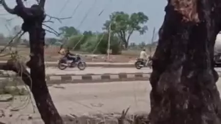 दारव्हा: शहरातील नगर परिषद, स्टेट बँक रोड व बोरी अरब येथे वादळी वाऱ्याने झाडे पडली, वाहतूक खोळंबली
