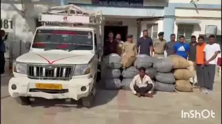 રાપર: રાપરના કાનપર ઉમૈયા વચ્ચે ફિલ્મી ઢબે પીછો કરી ૩૦૦ કિલો પોસડોડા સાથે  એક શખ્સને ઝડપાયો