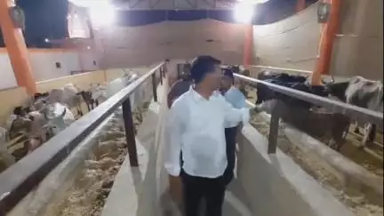 बिलारी: बिलारी नगर के कन्हा गौशाला का निरीक्षण एसडीएम विनय कुमार सिंह ने किया, दिए आवश्यक दिशा निर्देश