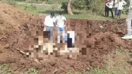 लोणार: गंधारी येथे पडीक घरात ६ गायी मृत्यूमुखी