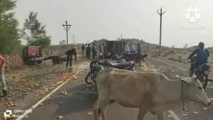 पिछोर: पिछोर थाना क्षेत्र के पड़रा गांव के पास रामनगर में टमाटर से भरी पिकअप और ट्रक की टक्कर