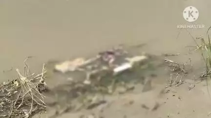 তেলিয়ামুড়া: খোয়াই নদীতে সদ্যোজাত শিশুর মৃতদেহ উদ্ধার, এলাকা জুড়ে চাঞ্চল্য। ঘটনা কল্যাণপুর থানাধীন দক্ষিণ ঘিলাতলির শান্তিপাড়ায়