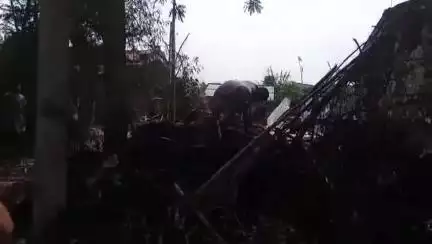 गोगरी: ईटहरी पंचायत के कटघरा दियारा में शॉर्ट सर्किट से आग, एक घर जलकर राख