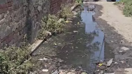 स्वार: ग्राम रायपुर चुन्नावाला मे नाली का निर्माण नहीं होने से ग्रामीण जल भराव से हैं परेशान #jansamasya