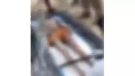 भरथना: महेवा बहेड़ा पुल भोगनी नहर में मिला अज्ञात अधेड़ का शव, शिनाख्त के प्रयास में जुटी पुलिस