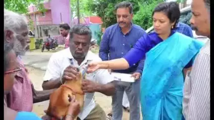 நெமிலி: மேல்வெங்கடாபுரத்தில் கால்நடை பராமரிப்பு துறை மூலம் சிறப்பு கால்நடை சுகாதாரம் மற்றும் விழிப்புணர்வு முகாம் நடைபெற்றது
