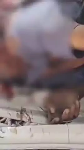 नरवल: महाराजपुर थाना क्षेत्र में NH-2 पर ट्राले और ट्रैक के बीच जोरदार भिड़ंत, चालक की मौत, परिचालक गंभीर रूप से घायल