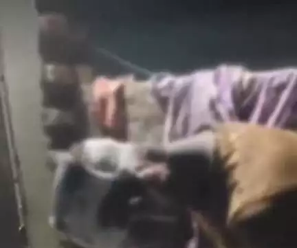 नौगढ़: हरैया में हुई मारपीट की घटना का वीडियो सोशल मीडिया पर हुआ वायरल, SP ने कार्रवाई का दिया निर्देश
