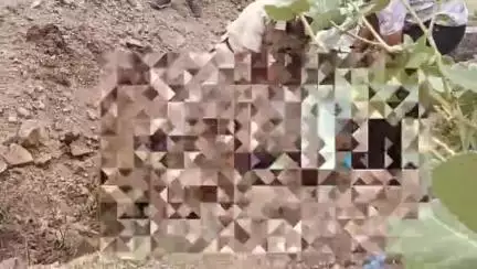 फलटण: फलटण येथे पुरलेल्या अवस्थेत अनोळखी पुरुषाचा मृतदेह आढळून आल्याने खळबळ