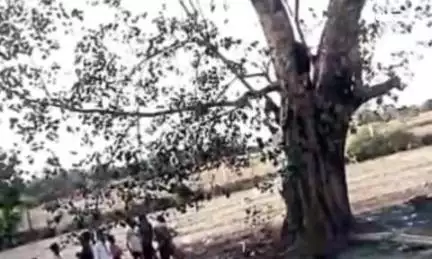 खेरागढ़: गांव नौनी के विशाल पीपल के पेड़ में दो बार लगी आग, दमकल की टीम भी आई दो बार