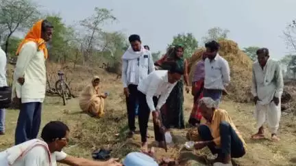तुमसर: सिलेगाव येथे रोजगार हमी कामावरील १५० मजुरांनी घेतला आरोग्य तपासणी शिबिराचा लाभ