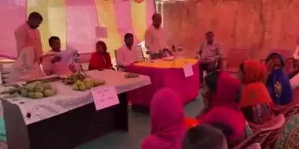 चिनिया: खुरी पंचायत में बिरसा हरित ग्राम योजना के तहत आम उत्सव सह बागवानी मेला आयोजित, ग्रामीणों में दिखा उत्साह