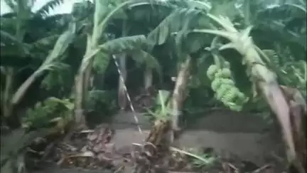 वणी: तालुक्यात वादळी वाऱ्यामुळे १७ घरांची पडझड तर, ११ गोठ्यांचे नुकसान; महसूल विभागाची माहिती