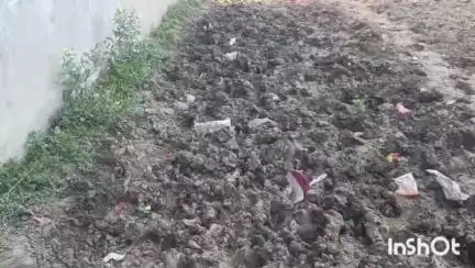 जमालपुर: सिंघिया के दो वार्डों में सड़क नहीं होने से ग्रामीणों को हो रही है परेशानी #jansamasya