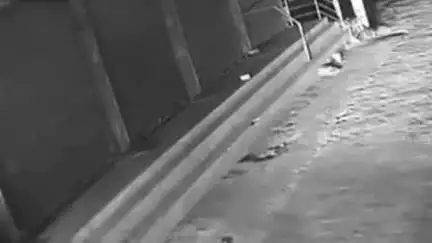 अम्बाला: लाखों रुपए की कमेटियां लेकर अंबाला में एक दंपत्ति फरार, पुलिस में शिकायत दर्ज