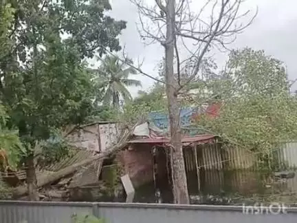 അമ്പലപ്പുഴ: പുറക്കാട് അയ്യം കോയിക്കലിൽ വർക്ക്ഷോപ്പ് ഷെഡ്ഡിന് മുകളിൽ മരം കടപുഴകി വീണ് മേൽക്കൂര തകർന്നു
