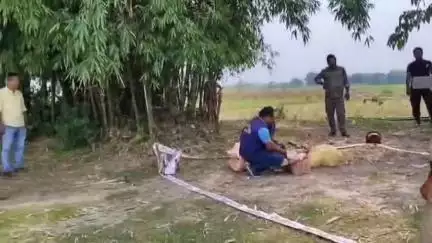 হলদিবাড়ি: বিভিন্ন সময় বাজেয়াপ্ত করা প্রায় 40 কেজি শব্দবাজি নিষ্ক্রিয় করল বোম্ব স্কোয়াডের কর্মীরা, উপস্থিত হলদিবাড়ির পুলিশ