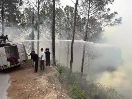 निहरी: जयदेवी के कूठायी गांव के जंगलों में लगी आग, समय रहते पाया गया काबू