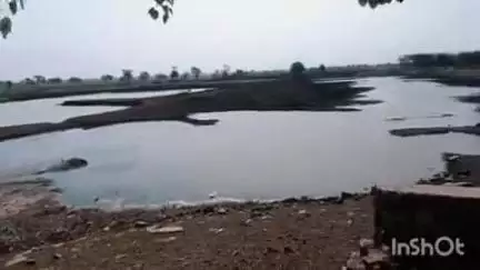 बमोरी: खडेला तालाब में मगरमच्छों ने गाय पर किया हमला, मौके पर हुई मौत